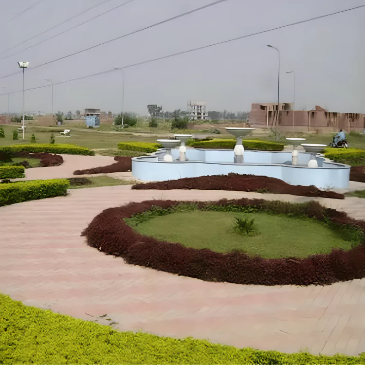 picture22-66dfe8b074b38